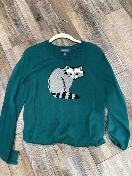 Modcloth Sweaters - ModCloth Teal Green Crewneck Sweater with Raccoon Graphic